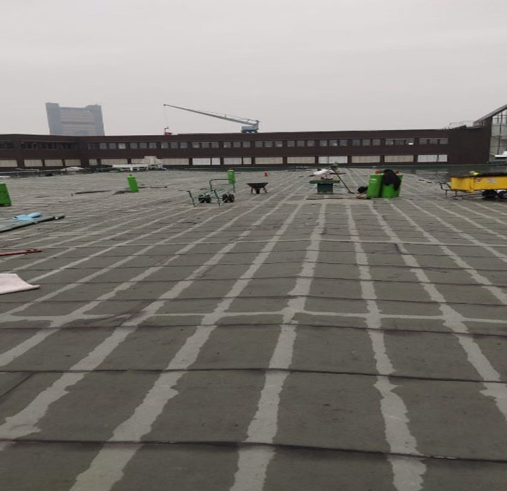 Screenshot_9-2-2026_175055_